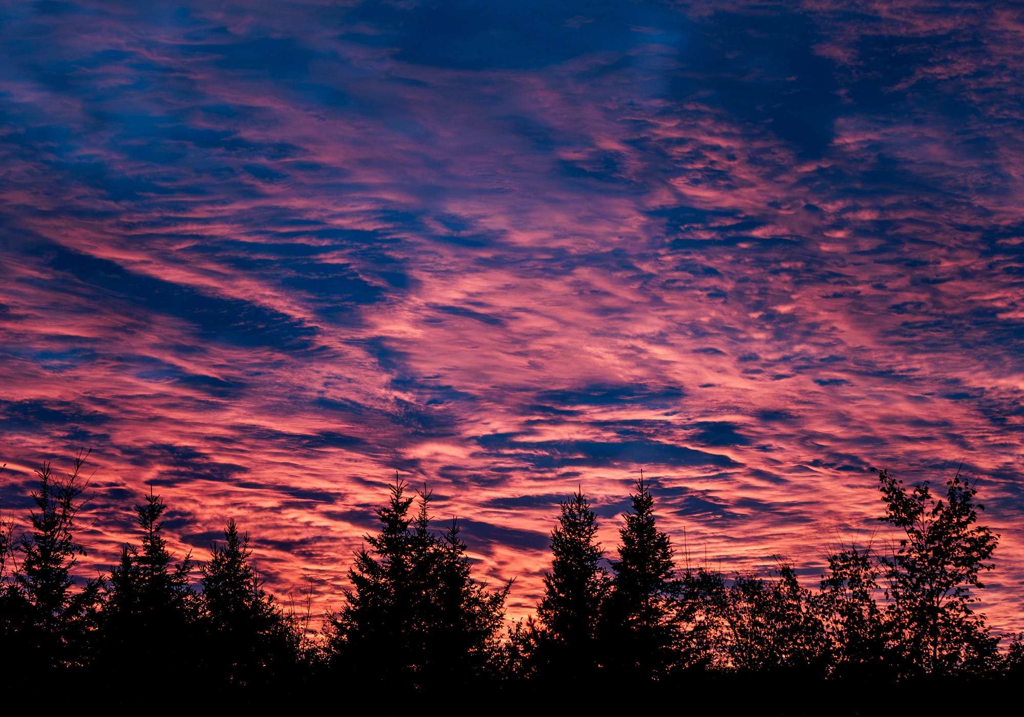 MORCEAUX DU CIEL